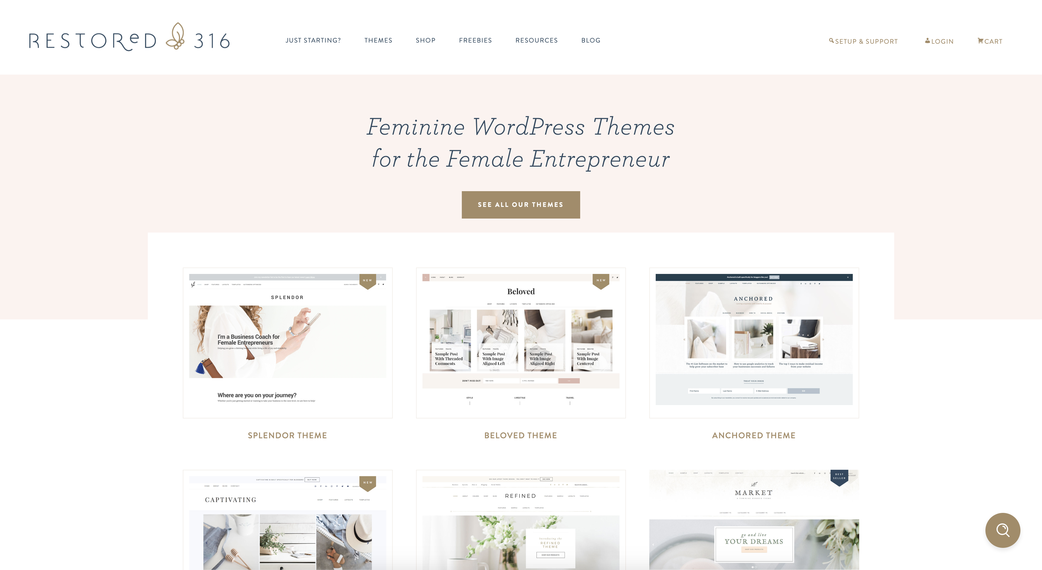 restored 316 designs | best feminine Wordpress themes