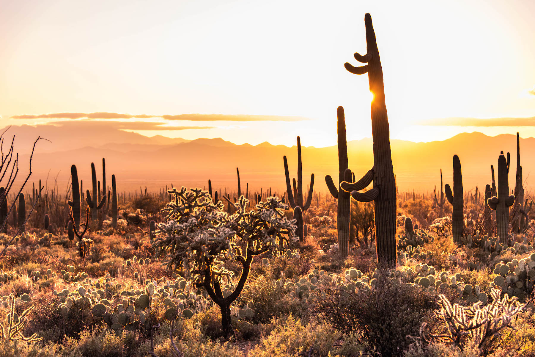 saguaro national park | arizona rv travel